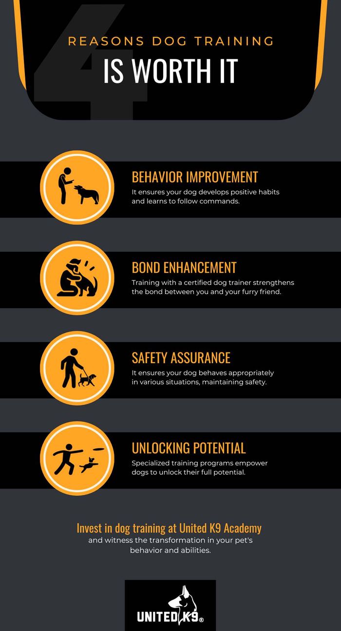 M37810 - Infographic - Why You Should Spend Time Training Your Dog.jpg