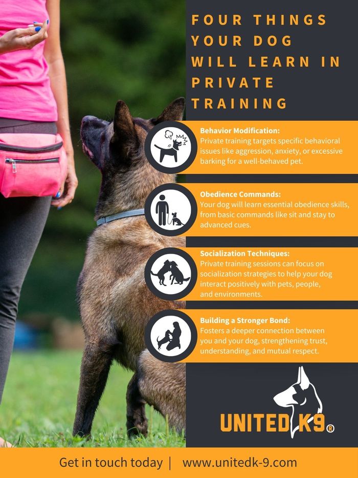 IG - Four Things Your Dog Will Learn in Private Training.jpg