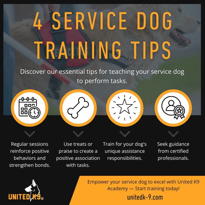 M37810 - Infographic - Tips for Training Your Service Dog to Perform Tasks.jpg