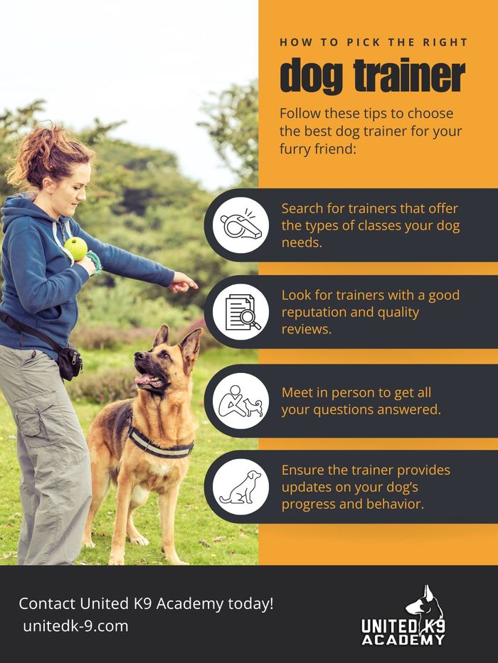 M37810 - Infographic - How to Pick the Right Dog Trainer.jpg