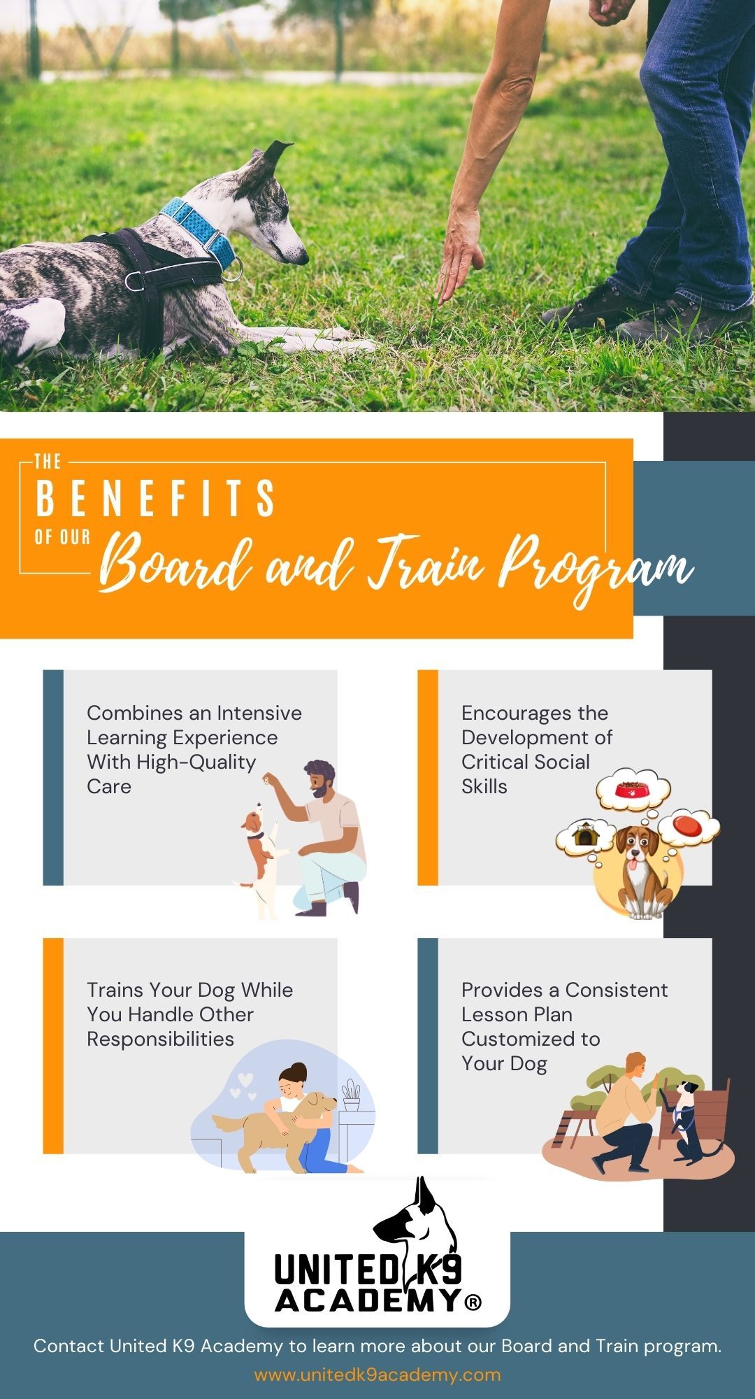 M37810 - Infographic - Reasons Why Boarding and Training May Be Necessary for Your Dog.jpg