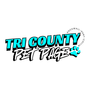 Yellow Black Brush Streetwear Brand Logo.png