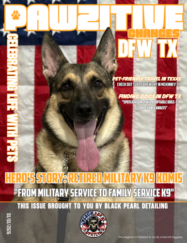 Cover one pawzitive .png