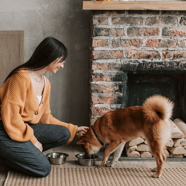 What to do If Your Puppy is Not Food Motivated - Image 1.jpg