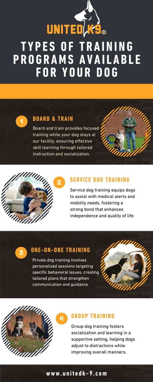 Infographic - M37810 - The Different Types of Training Programs Available For Your Dog .jpg