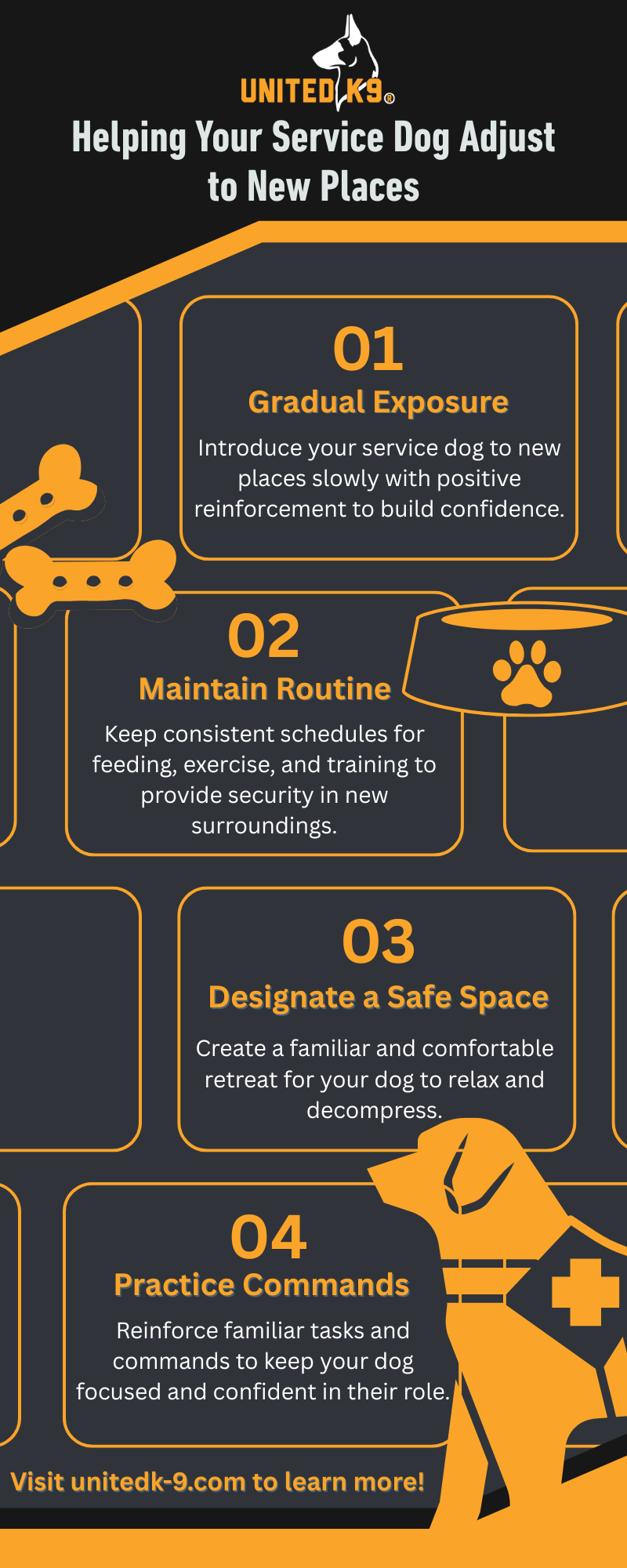 M37810 - IG - Helping Your Service Dog Adjust to New Places.png