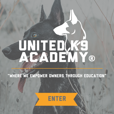 Expert shops k9 academy