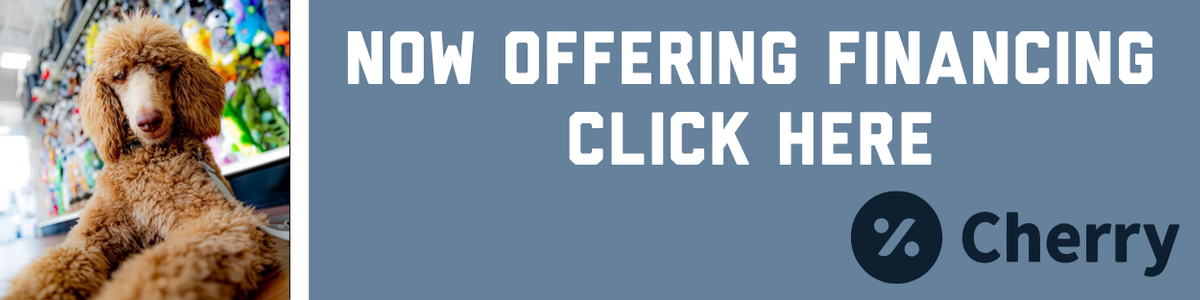 Now Offering Financing.png