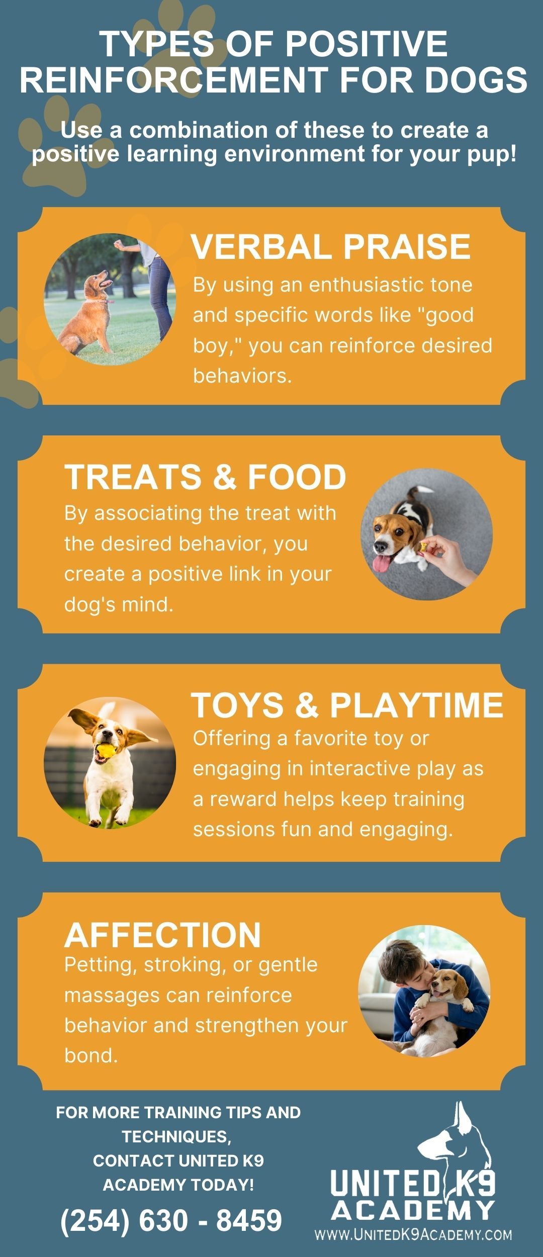 M37810 - United K9 Academy - Types Of Positive Reinforcement For Dogs.jpg