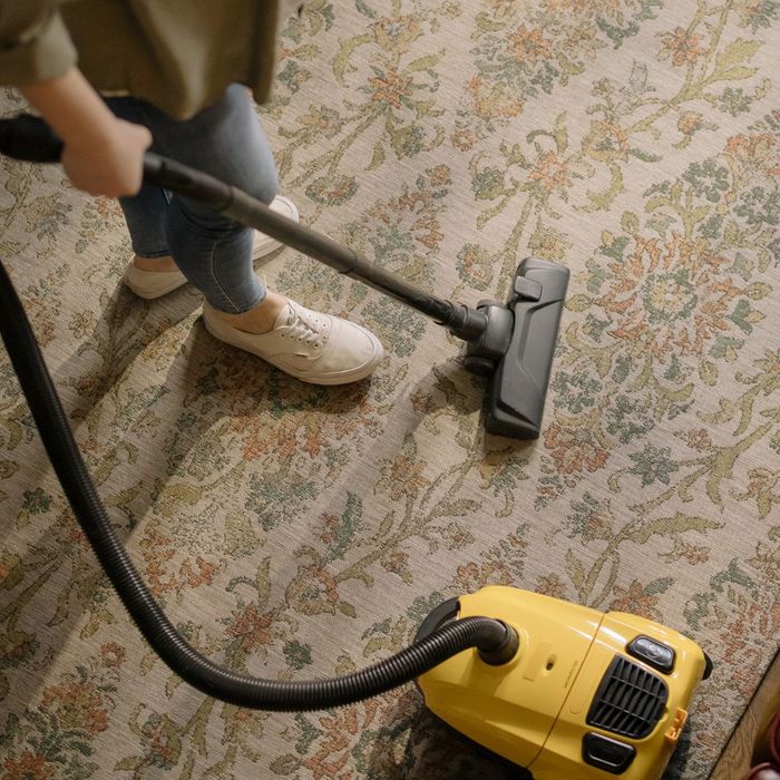 someone vaccuming carpet