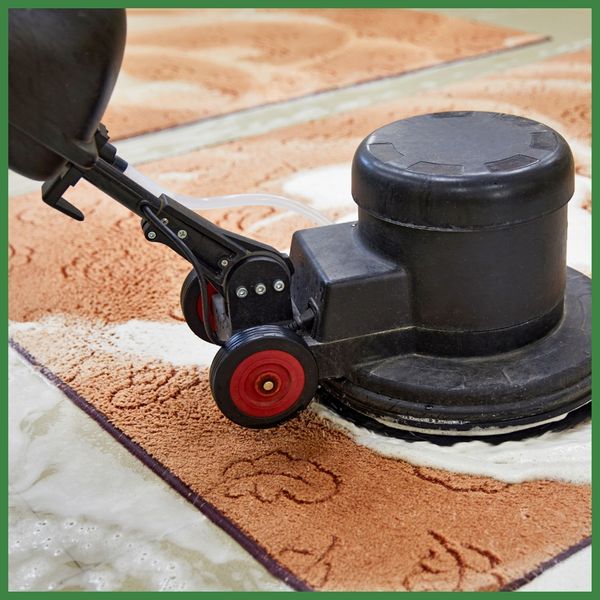 Why DIY Carpet Cleaning May Not Be the Best Option-3.jpg