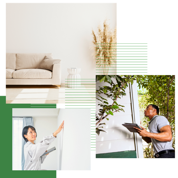 Mold Restoration Services-3.png
