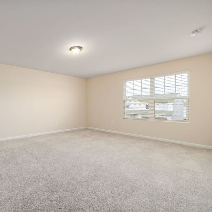 clean carpet in empty room