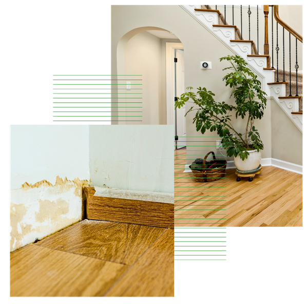 Water Damage Restoration Services-2.png