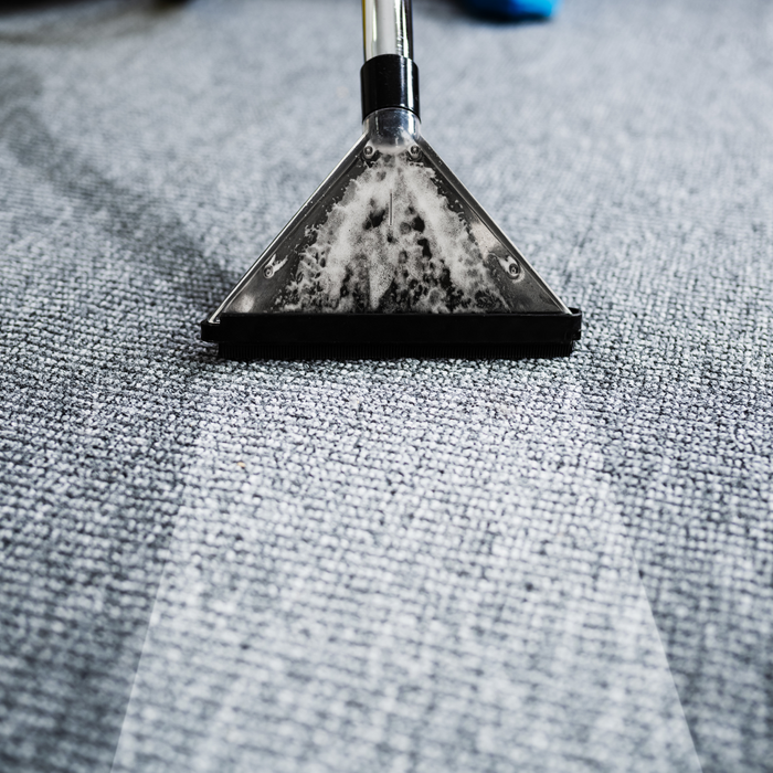 A carpet being cleaned