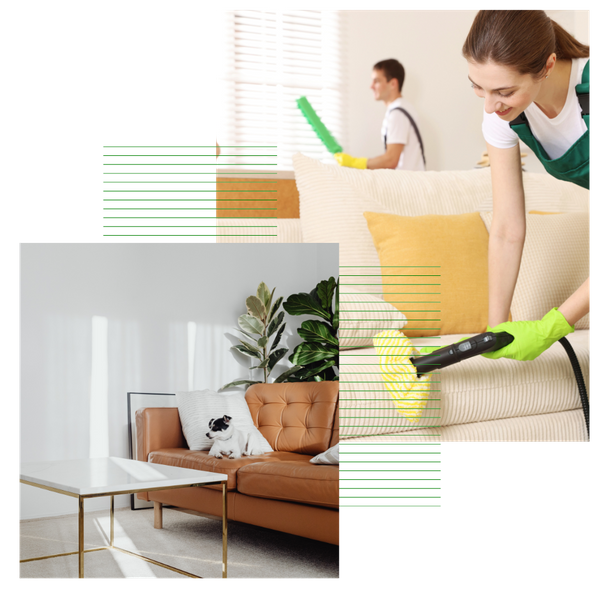 2 Expert Upholstery Cleaning in Gloucester City.png