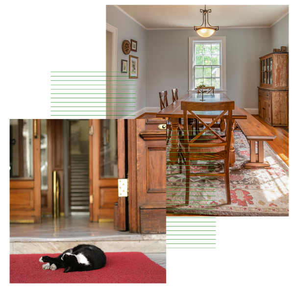 A collage of a pet sleeping on a rug and a dining room rug. A collage of a pet sleeping on a rug and a dining room rug.