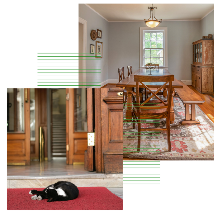 A collage of a pet sleeping on a rug and a dining room rug.