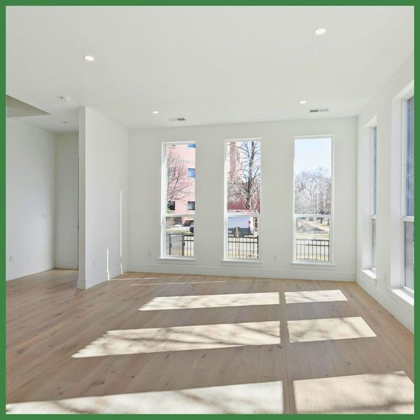 VinylCleaning (3).jpg