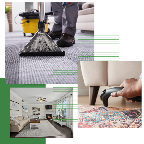 3 Professional Rug Cleaning in Gloucester City.png