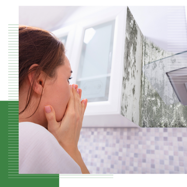 Mold Restoration Services-1.png