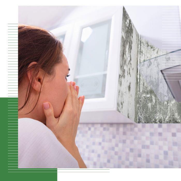 Mold Restoration Services-1.png