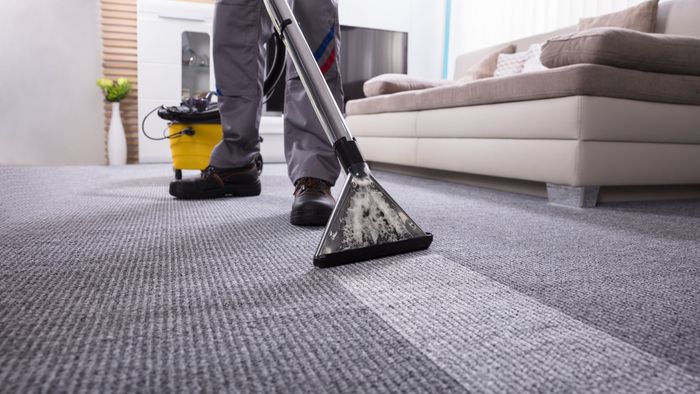 he Difference Between Professional and DIY Carpet Cleaning Methods.jpg