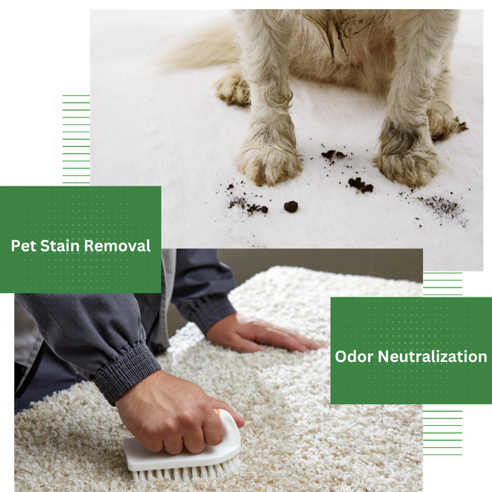 A pet with dirty paws, a professional carpet cleaner pre-treating a stain with the words pet stain removal  and odor neutralization overlaying the pictures.