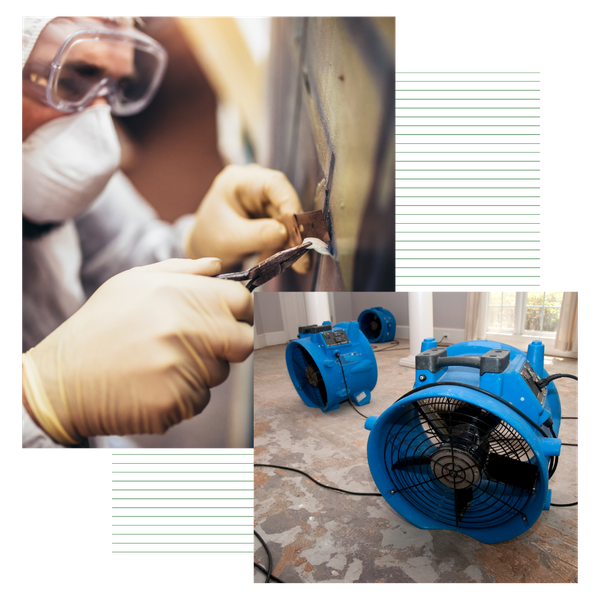 restoration services