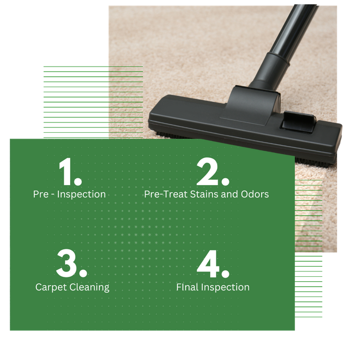 Carpet Cleaning - What to expect.png