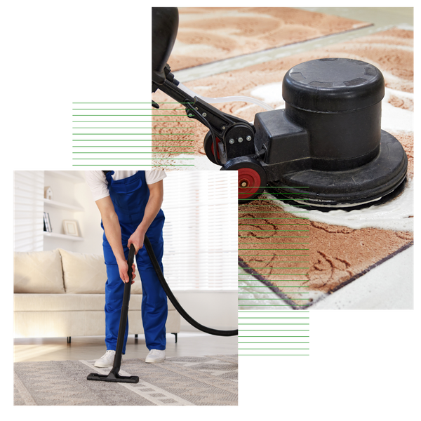 2 Professional Rug Cleaning in Gloucester City.png