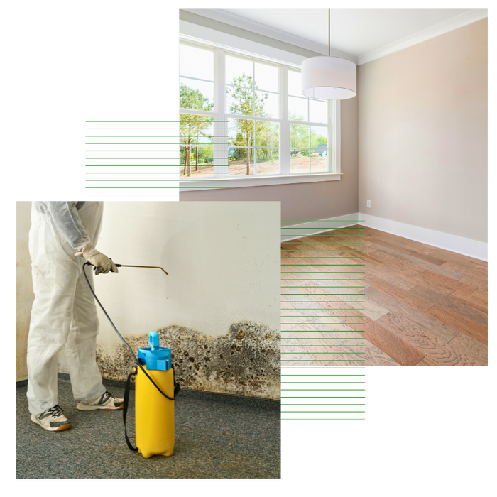 Mold Restoration Services-2.png