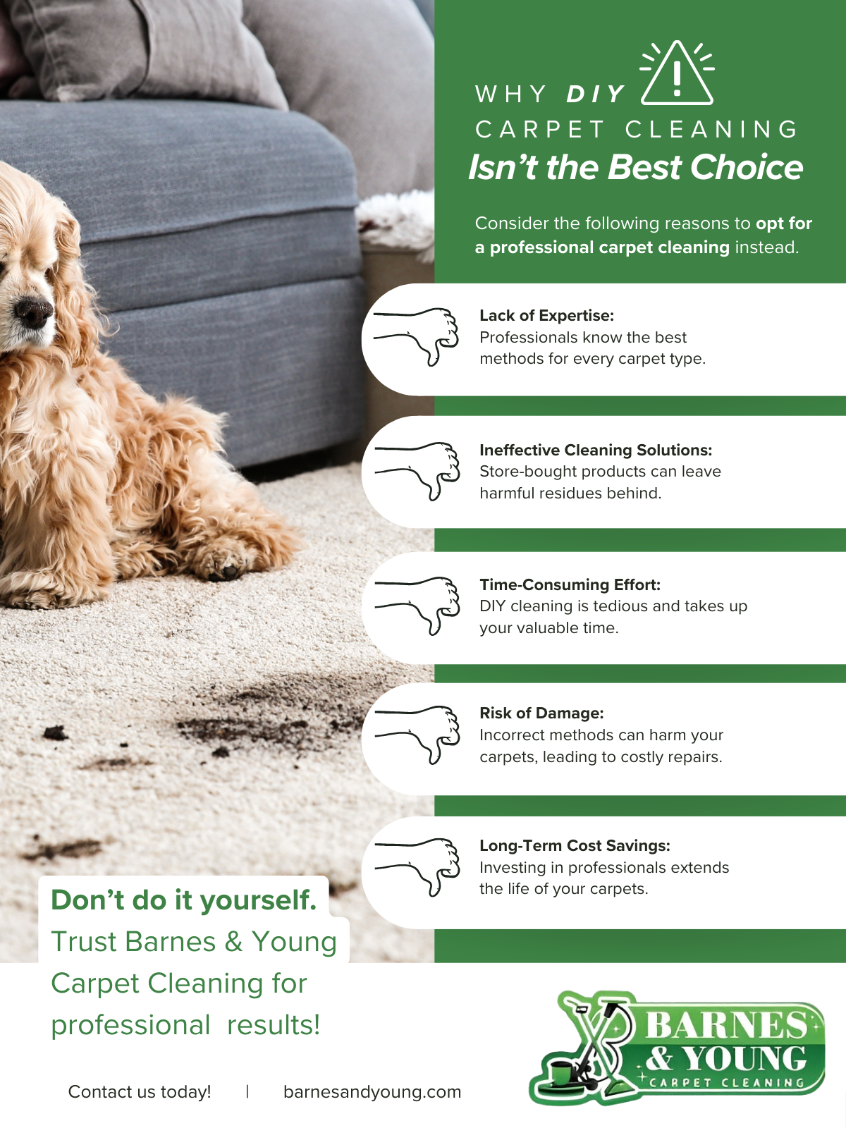 M176437 - Infographic - Why DIY Carpet Cleaning Isn%E2%80%99t the Best Choice.png