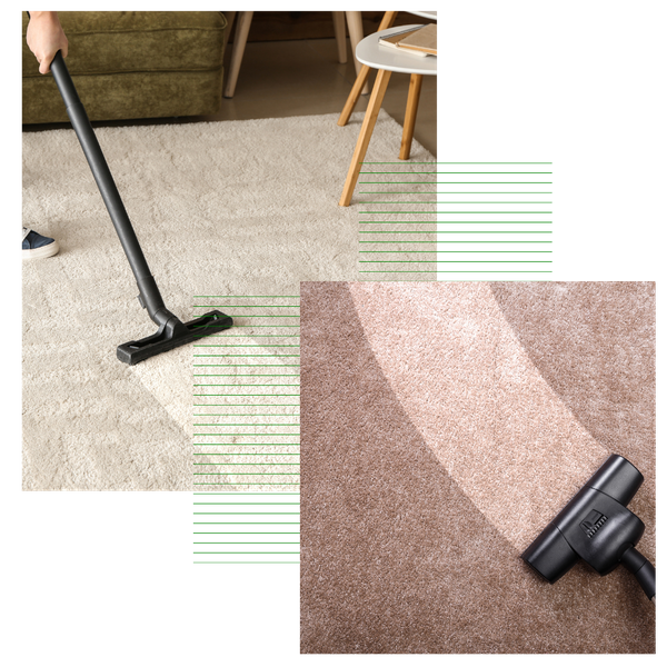 Pet Stain and Odor Removal 2.png