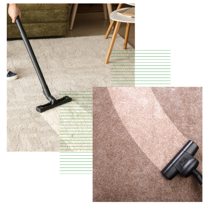 Pet Stain and Odor Removal 2.png