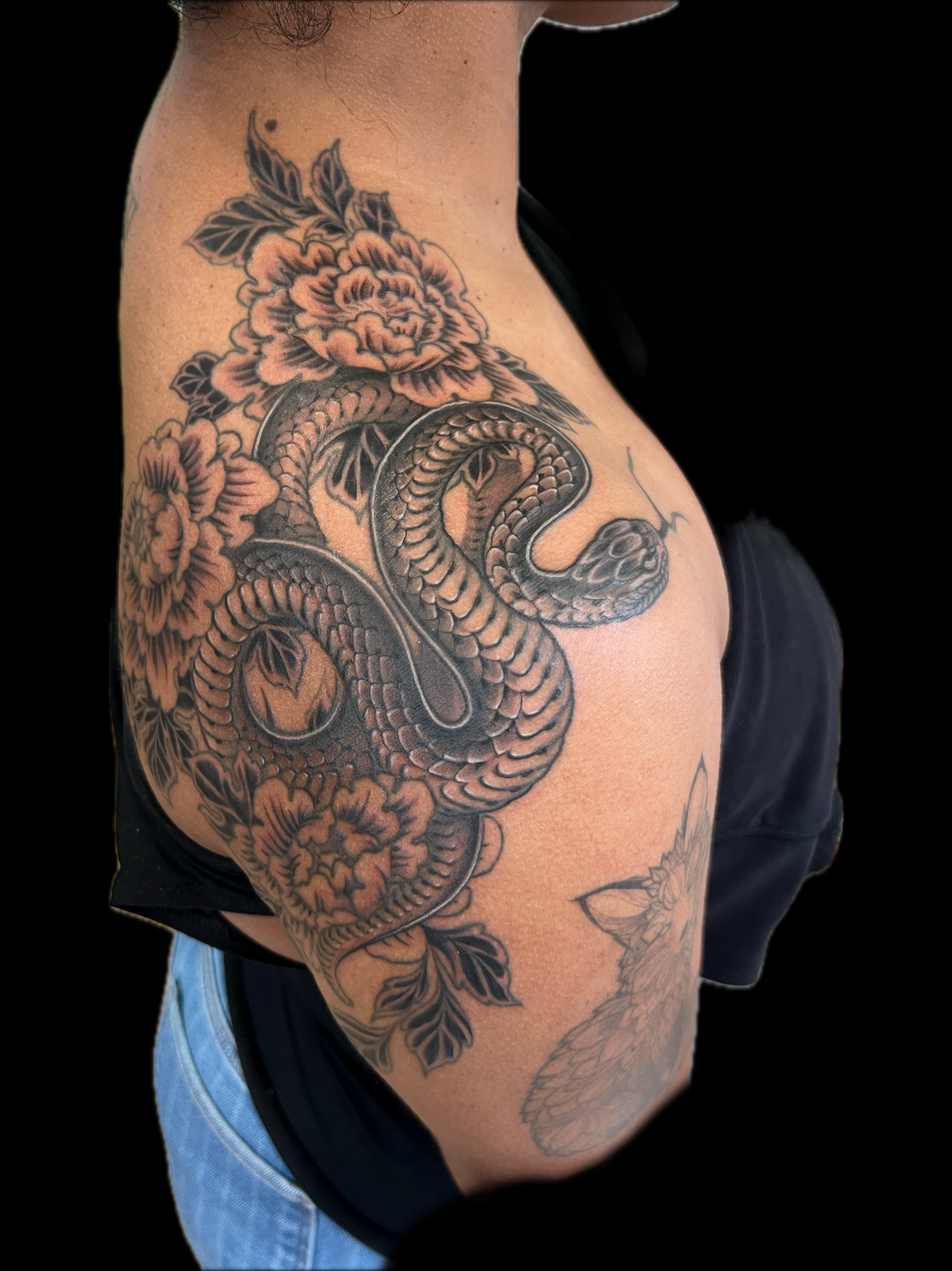 Untitled_Artwork (8).png