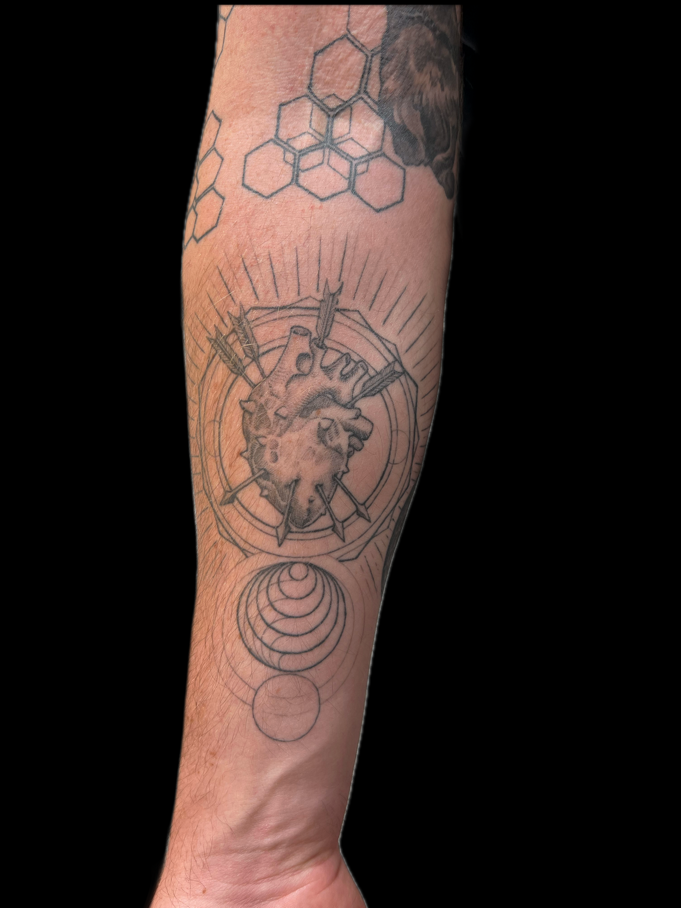 Untitled_Artwork (9).png