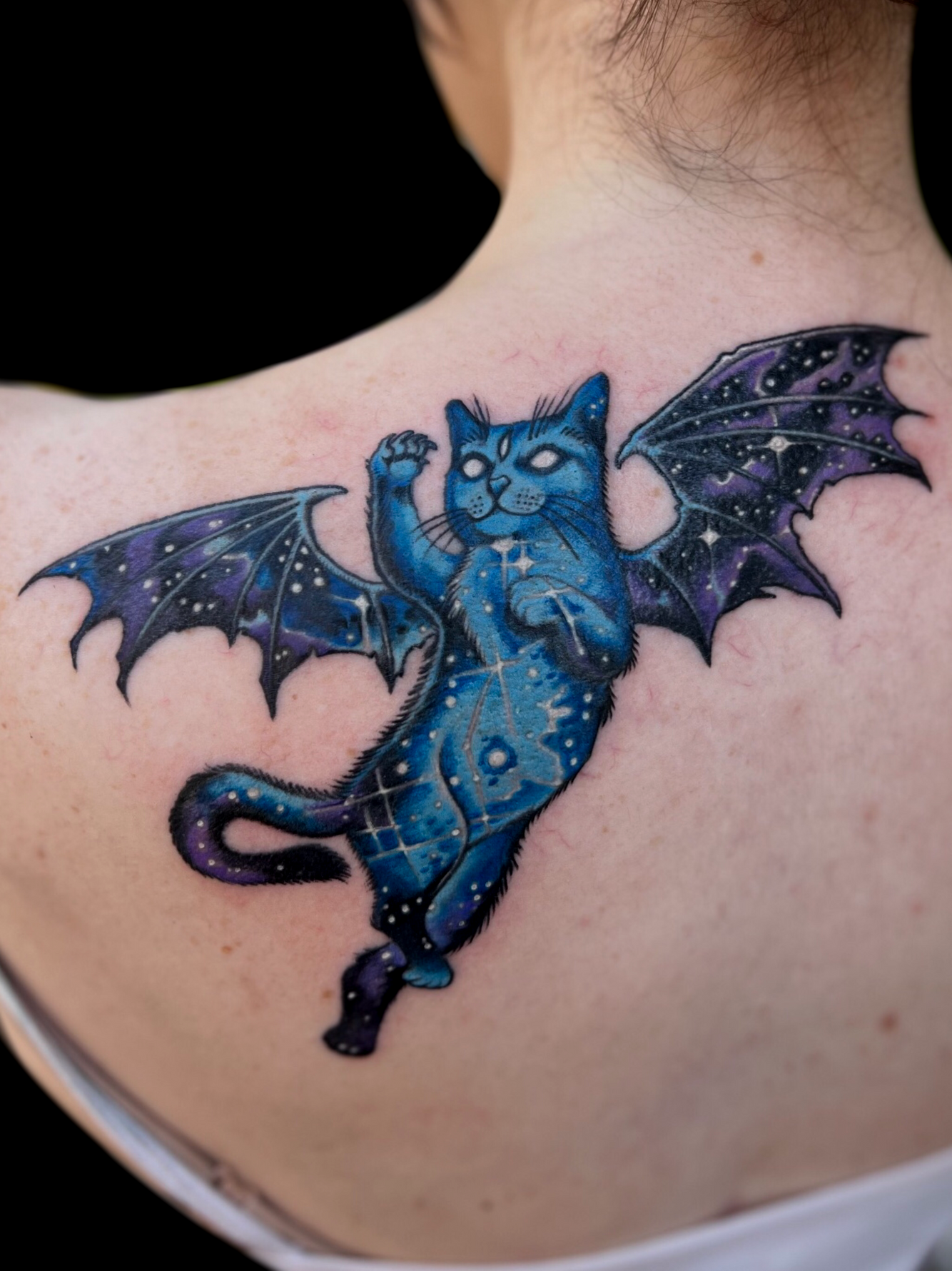 Untitled_Artwork (1).png