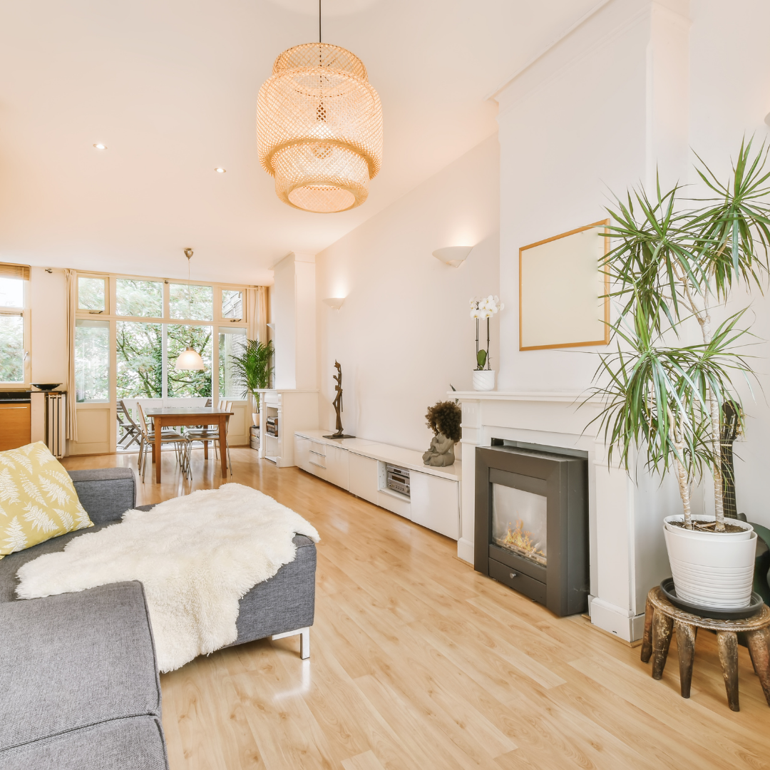 gallery filler 10.png