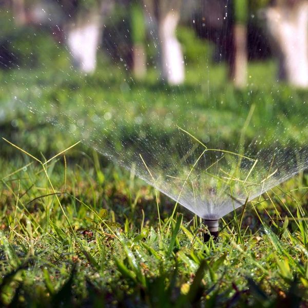 watering lawn