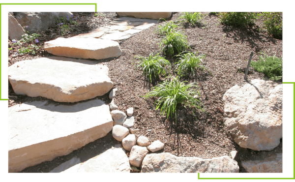 Xeriscaping - Image 3.png
