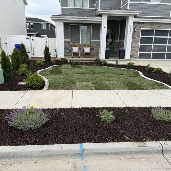 yard with new sod installation yard with new sod installation