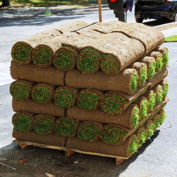 A pallet of rolled up grass
