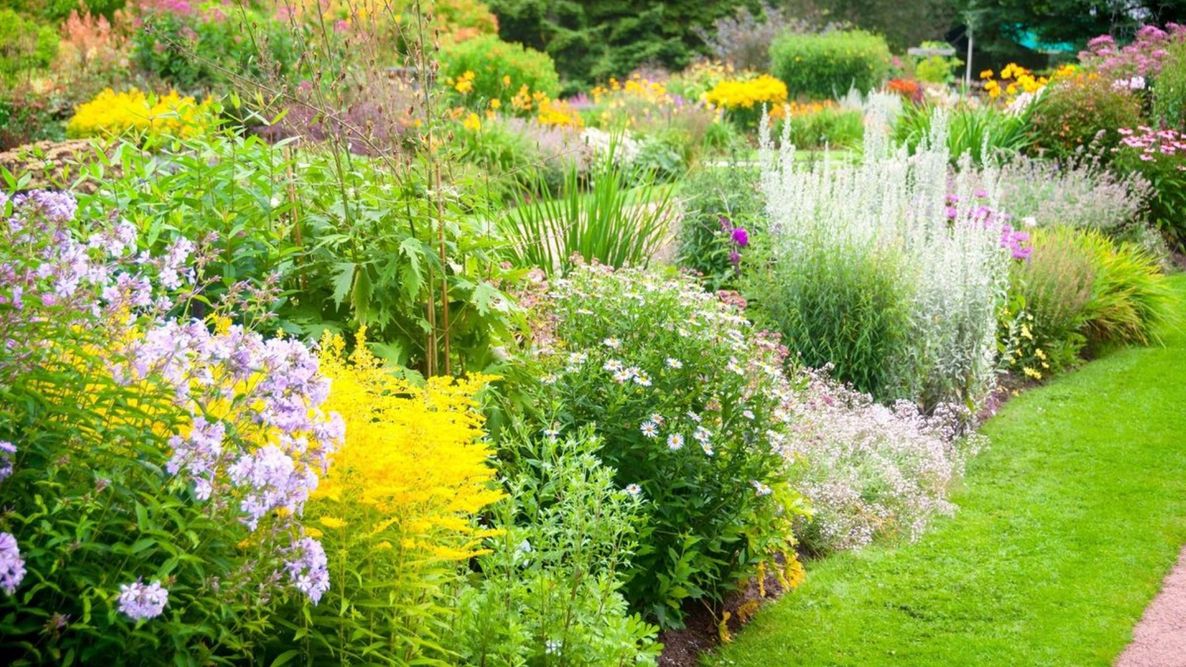 Landscaping Update - Gallery 2.jpg