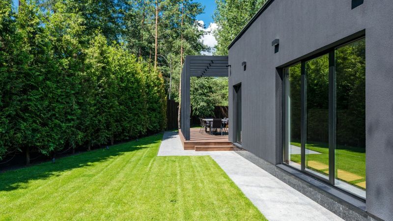 green grass by home