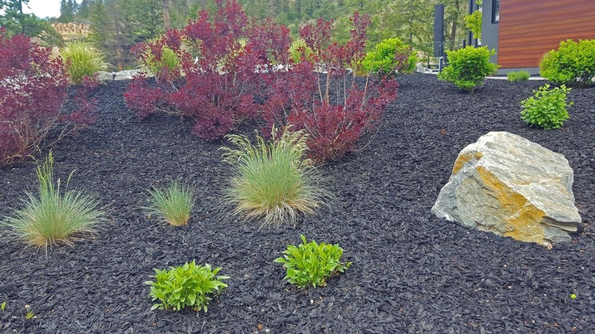 Landscaping Update - Gallery 1.jpg