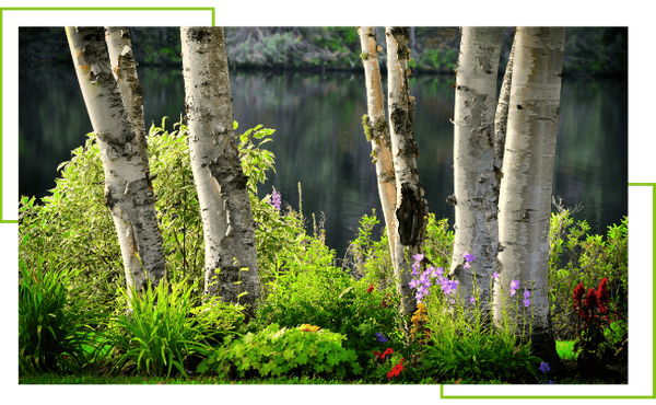 Landscaping Update - Image 1.png