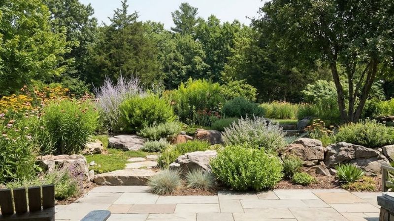 A modern home with an xeriscaped backyard