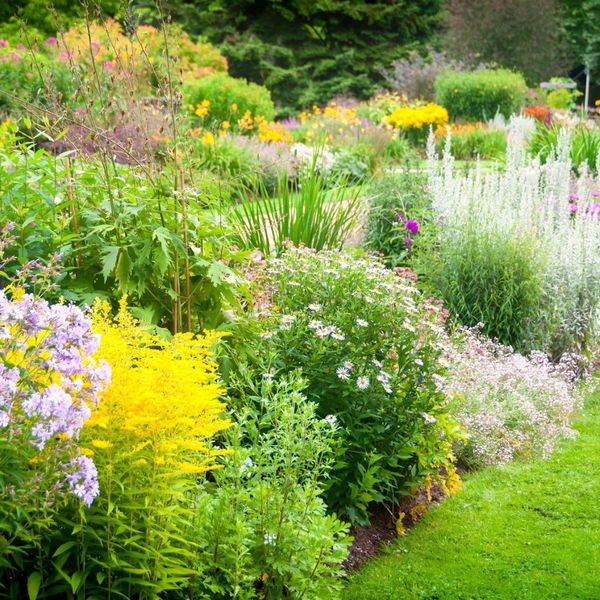 pretty planting of shrubs and flowers pretty planting of shrubs and flowers