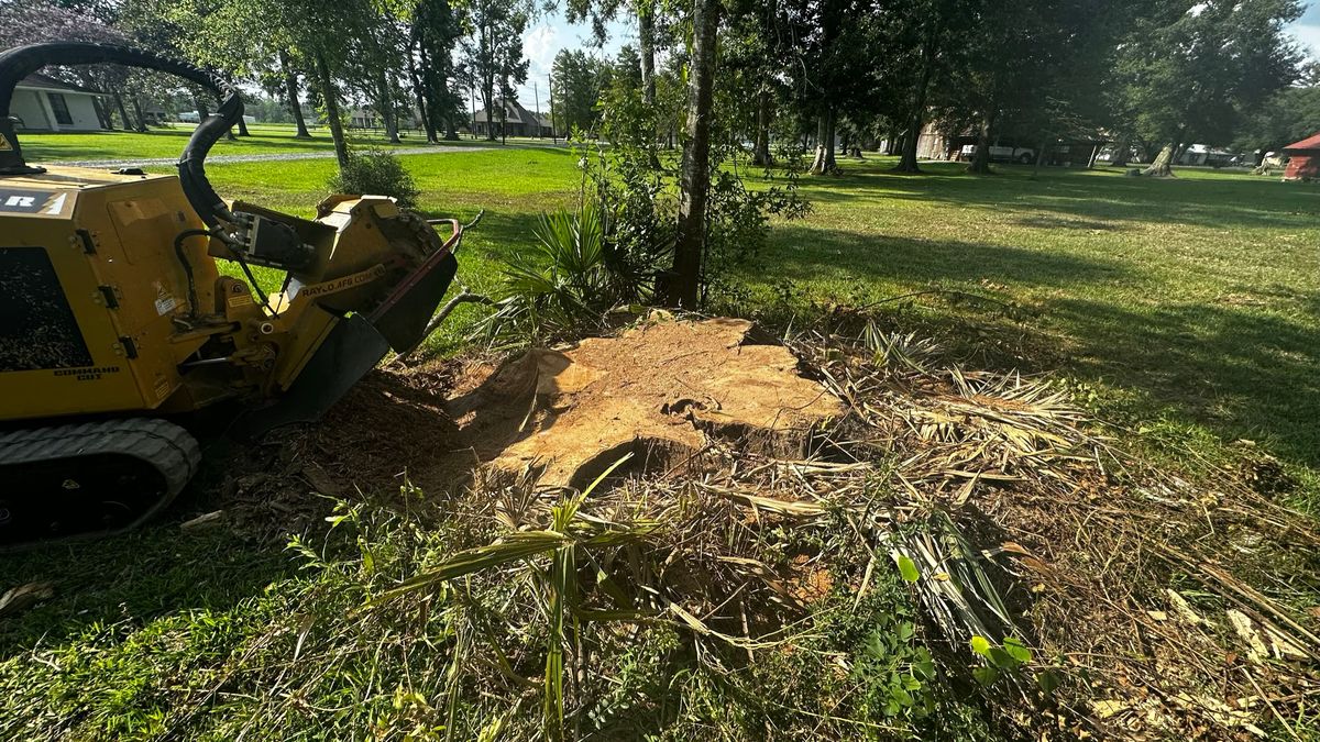 IMG_3888 - Copy.JPEG